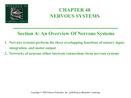 Fig. 48.1 Peripheral nervous system