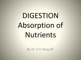 Digestion - Absorption of Nutrients