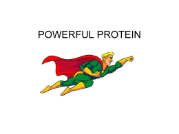 protein pwrpt - Malibu High School