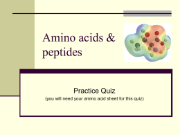 Amino acid quiz (PowerPoint)