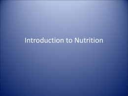 Introduction to Sport Nutrition - CCVI