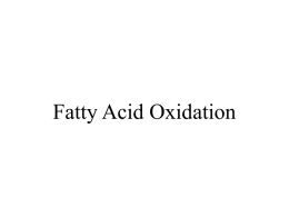Fatty Acid Oxid