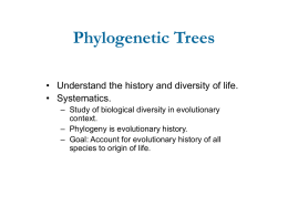 phylogenetic_trees