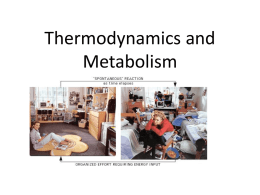 Thermodynamics and Metabolism