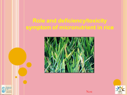 Role of deftox symp of micronutr in rice