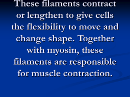 These filaments contract or lengthen to give cells the flexibility