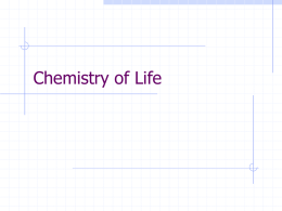 Ch.2 Chemistry of Life