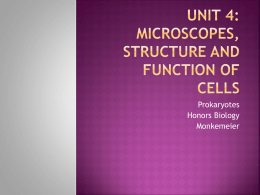 Unit 4: Microscopes, Cell Structures and tree of Life
