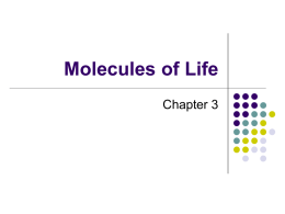 Molecules of Life - CCRI Faculty Web