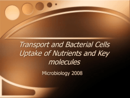 Transport in Bacterial Cells