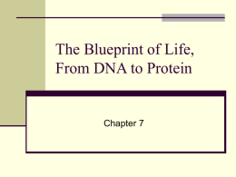 The Blueprint of Life, From DNA to Protein