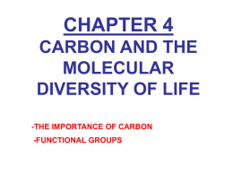 chapter 4 carbon and the molecular diversity of life