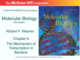 Chapter 06 Lecture PowerPoint - McGraw Hill Higher Education