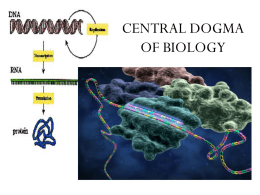 Central Dogma of Cell Biology