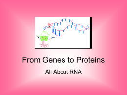 From Genes to Proteins