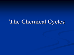The Chemical Cycles - Worth County Schools