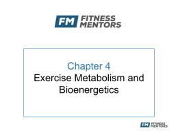 Chapter 4 - Fitness Mentors