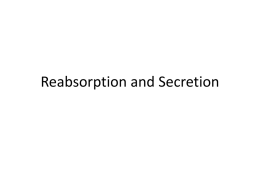 Reabsorption and Secretion