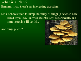 Why Study Plants - World of Teaching