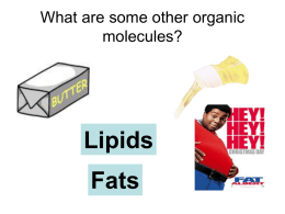 What are some other organic molecules?