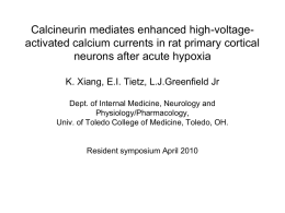 Calcineurin mediates enhanced high-voltage