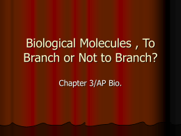 Biological Molecules , Great and Small