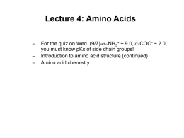 Lecture 4: Amino Acids