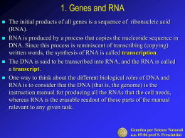 1. Genes and RNA
