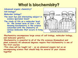 Chem 400 Biochemistry I