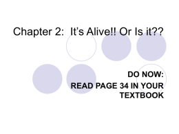 Chapter 2: It`s Alive!!