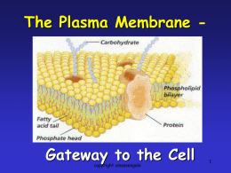 Plasma Membrane - Warren County Public Schools