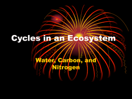 Cycles in an Ecosystem
