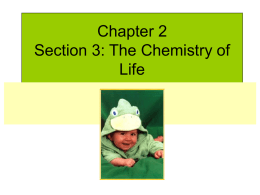 Chapter 2 Section 3: The Chemistry of Life