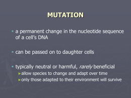 mutation - ahsbognasbi4u