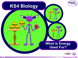 What is Energy Used For?