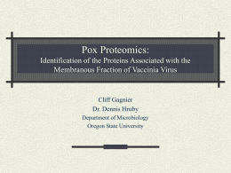 Pox Proteomics: Isolation of membranous fraction