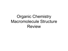 organic chem & macromolecules