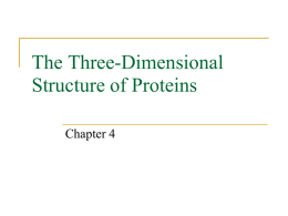 The Three-Dimensional Structure of Proteins