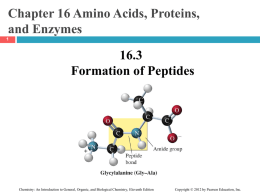 CH_16_3_Formation_Peptides