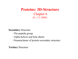 Three Dimensional Protein Structures