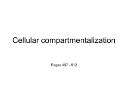 Cellular compartmentalization