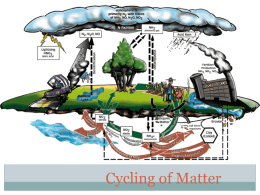 Cycles of Matter PP