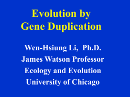 Determinants of Gene Duplicability
