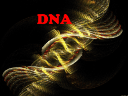 DNA powerpoint