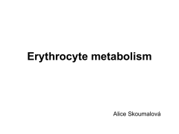 Metabolismus erytrocytů
