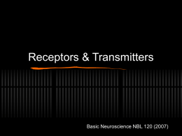 Receptors & Transmitters