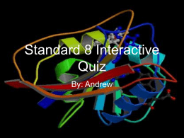 Standard 8 Interactive Quiz