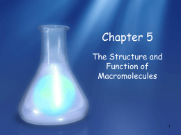 05- macromolecules - Kenston Local Schools