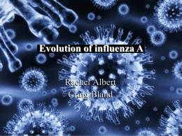 Predicting the Evolution of Influenza