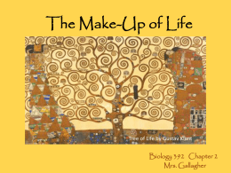 The Make-up of Life(K)